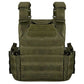 gilet pare balles armée française vert olive dos 
